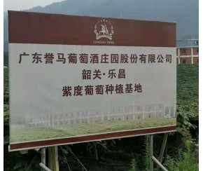 葡萄酒冷卻系統(tǒng)